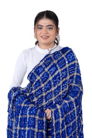 Blue Gharchola Checks Dupatta in Gajji Silk