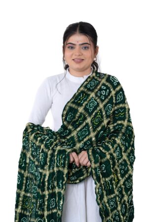 Green Gharchola Checks Dupatta in Gajji Silk