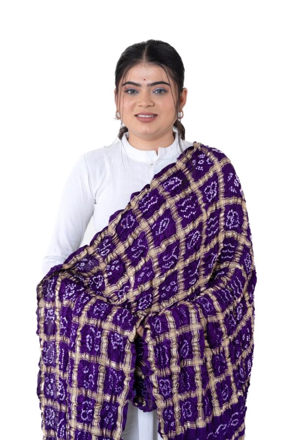 Purple Gharchola Checks Dupatta in Gajji Silk