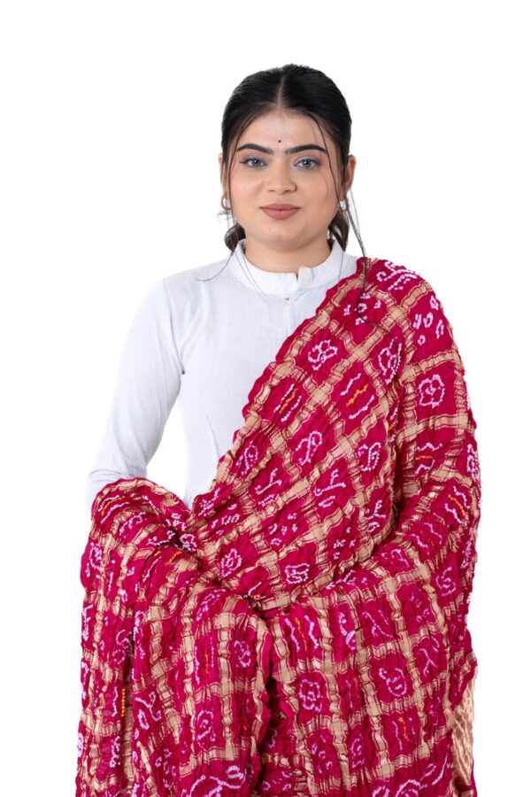 Rani Pink Gharchola Checks Dupatta in Gajji Silk