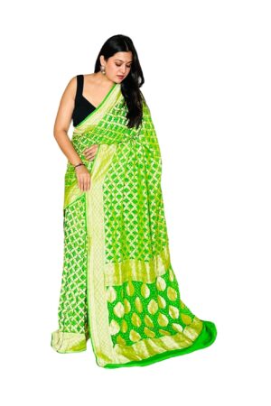 Green Parrot Neemjari Georgette Saree