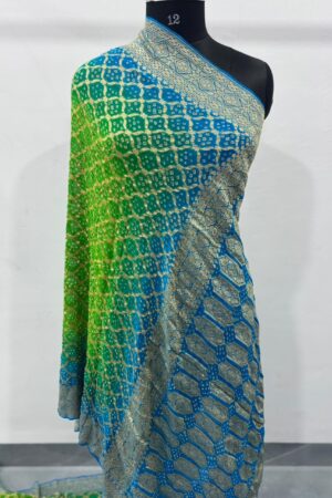 Sky With Parrot Janglo Saree in Georgette