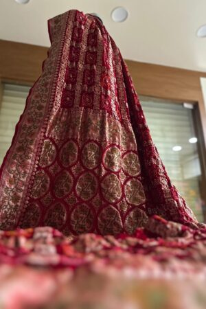 Red  4D Pathani Meenakari Handloom Georgatte Saree